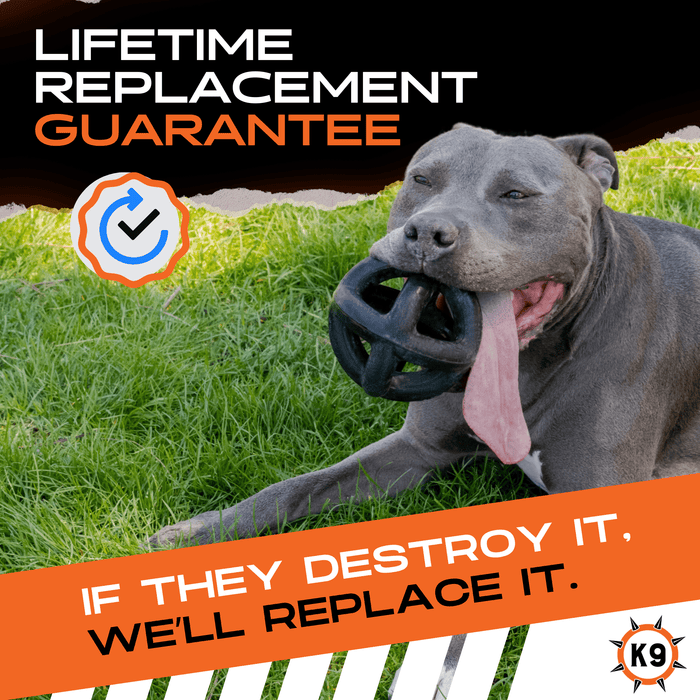 Monster K9 Ring Ball | Heavy Duty Dog Toy for Aggressive Chewers