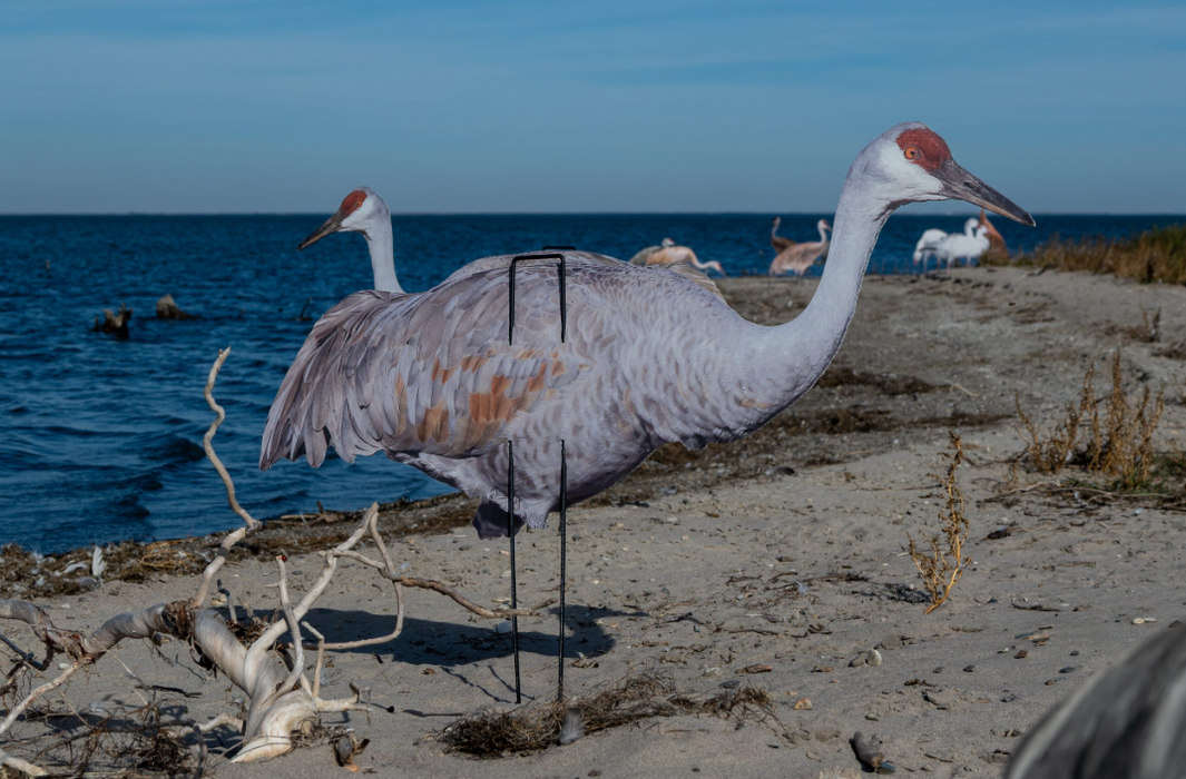 Real-Geese Gen 3 Sandhill Crane Silhouette Decoys – 4 Pack