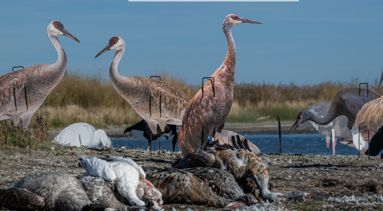Real-Geese Gen 3 Sandhill Crane Silhouette Decoys – 4 Pack