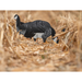 Real Geese Shadow X black and white goose decoys
