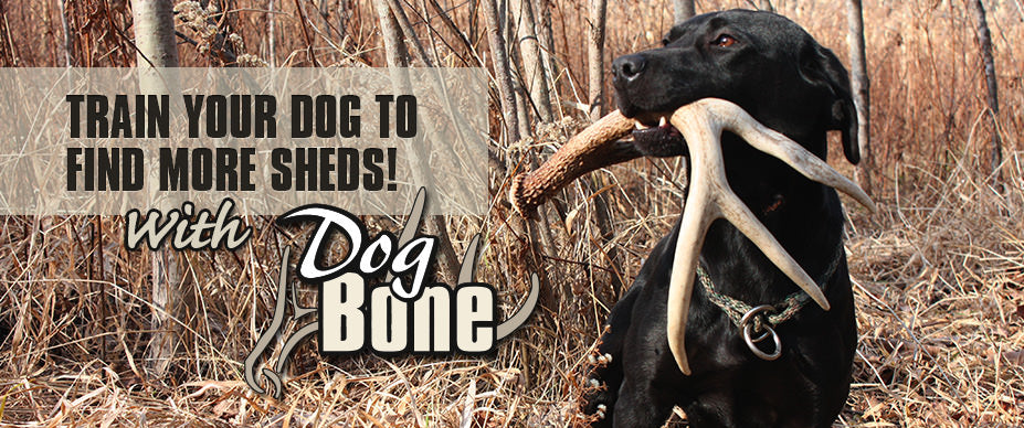 DogBone Shed "Soft" Retrieving Antler Shed Antler Dummy - Moore Outdoors