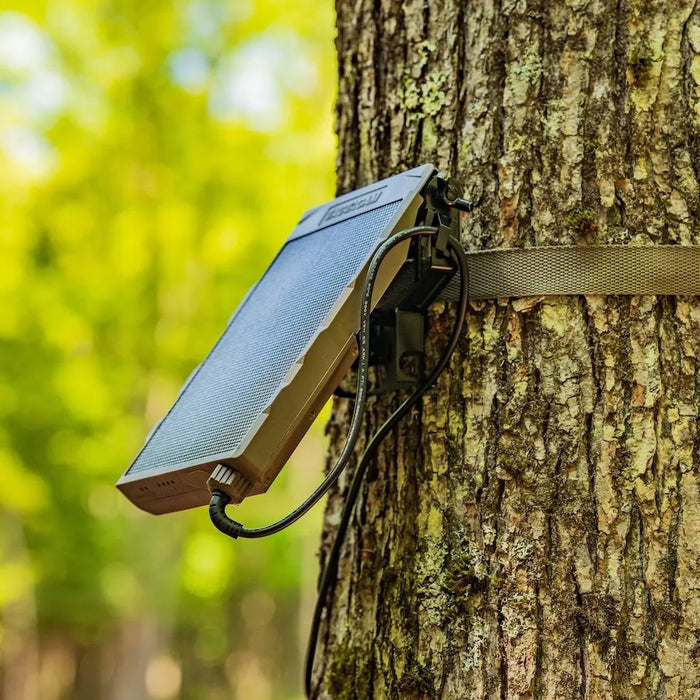 tactacam solar panel with tree mount 