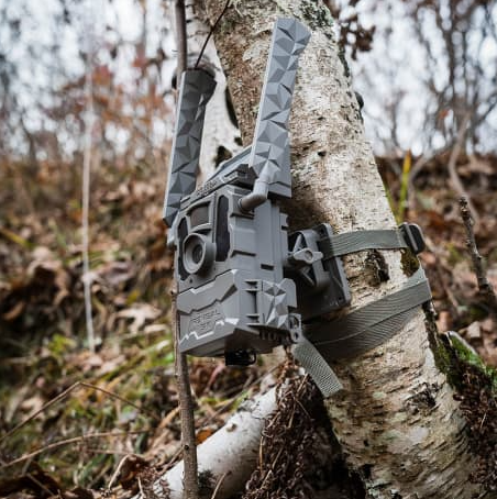 Tactacam Reveal Tree Mount - Trail Camera Tree Mount