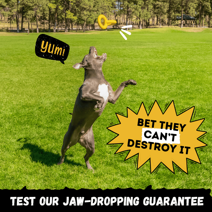 WOOFBITE Tug Chain™ | Heavy Duty Tug Toy for Aggressive Chewers