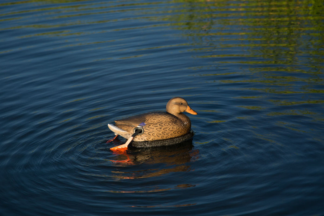 The Wadder Combo - AirBoss WADDER Motion Decoy Combo