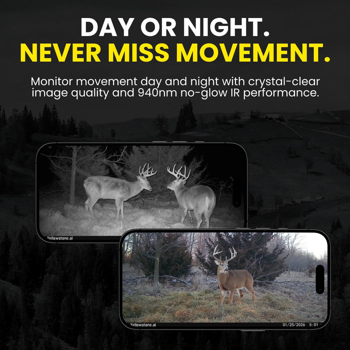 yellowstone Y2 day or night monitoring 