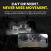 yellowstone Y2 day or night monitoring 