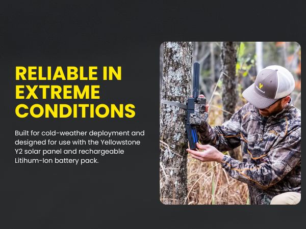 yellowstone reliable in extreme condition Y2 - built for cold weather 