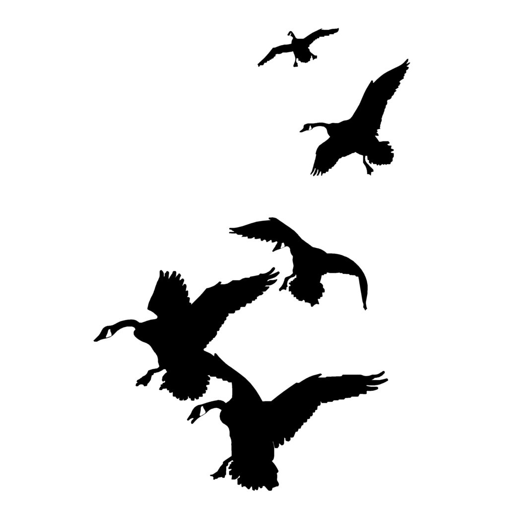 Geese, Stackin' In Decal – Geese Stackin' In Sticker – 20...