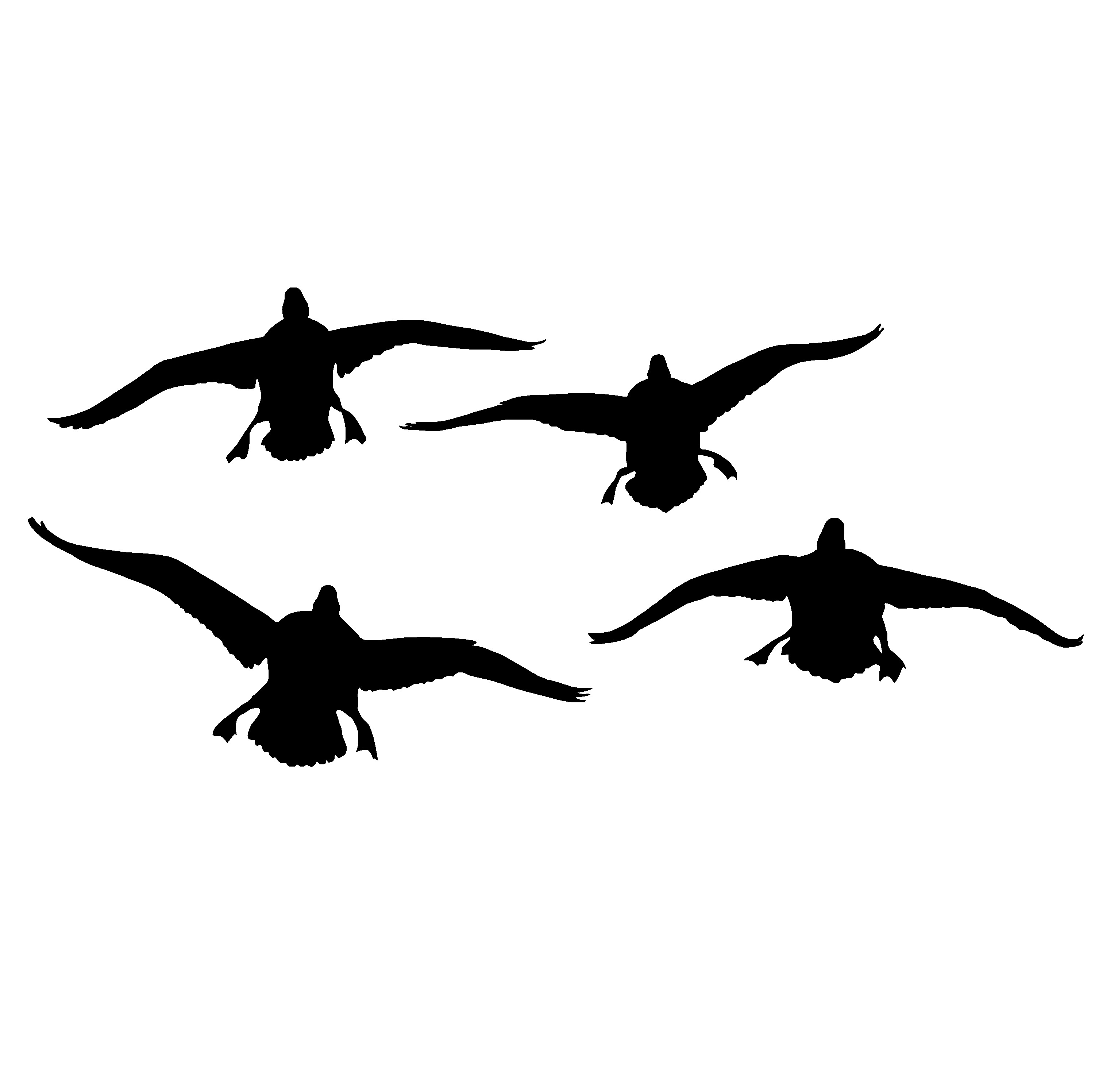 4-ducks-coming-at-ya-decal-5053-huntemup