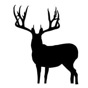 Big Buck Deer, Hunting Decal
