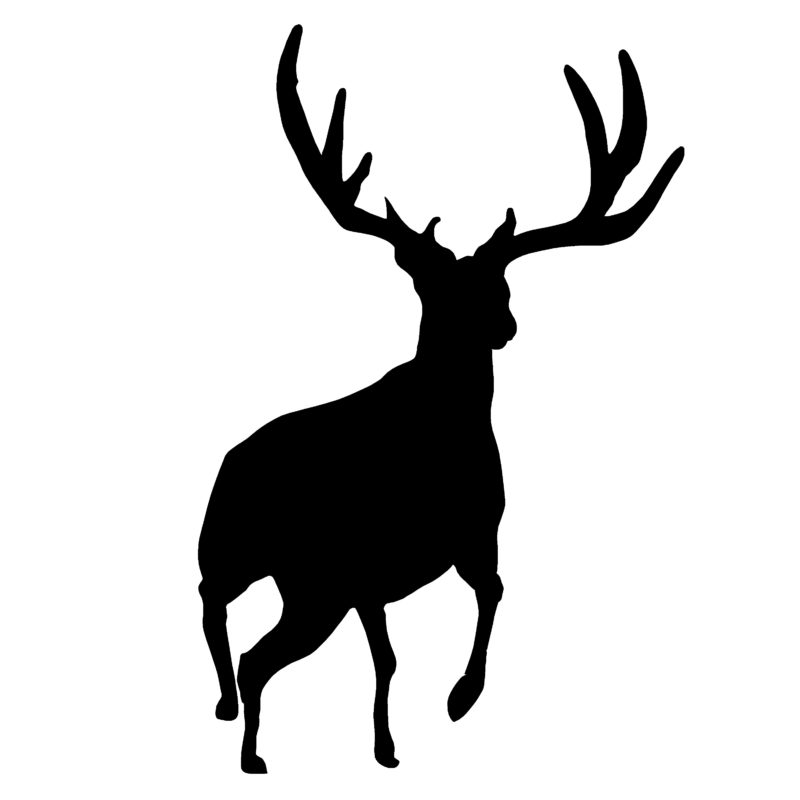 Mule Deer,Buck Decal