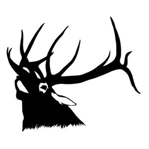 Bull, Elk Head Decal