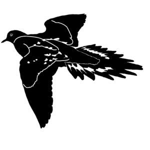 Flying Dove Decal