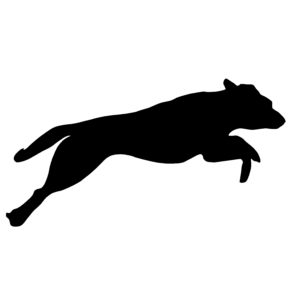 Jumping Labrador Decal