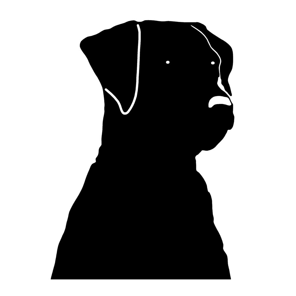 Labrador Head Decal - Labrador Head Sticker – 3512