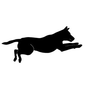 Jumping, Labrador Decal