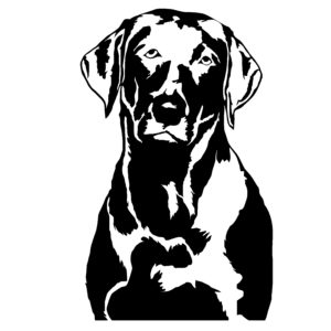 Detailed Labrador Dog, Head Decal