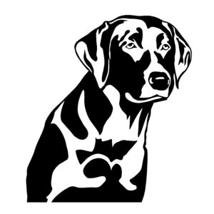 Detail of Lab Dog Head Decal