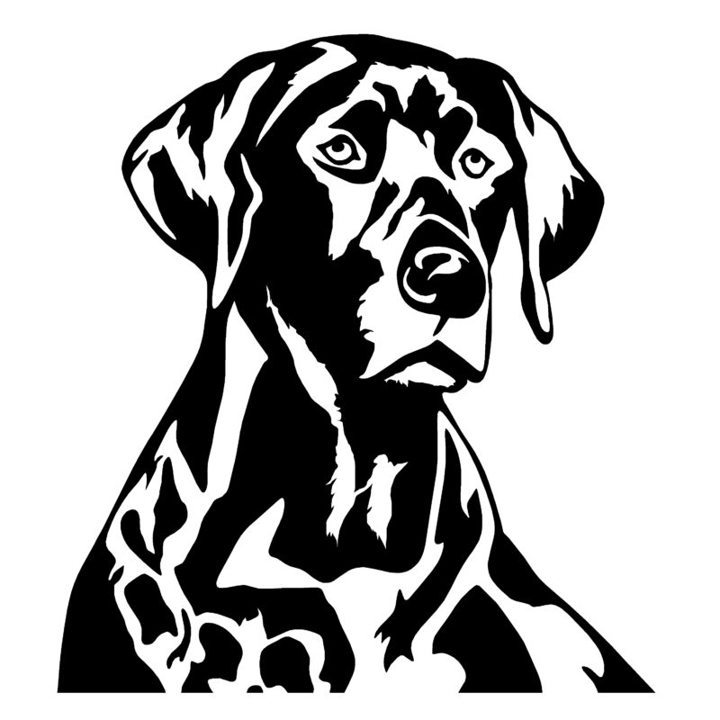 Detail of Lab Dog, Head Decal