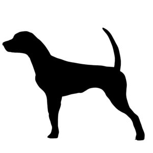 Our Pointer Dog Decal – Pointer Dog Window Sticker is Custom Die Cut on our High Speed Vinyl cutters from outdoor grade high performance adhesive vinyl. Available in Several color and size options