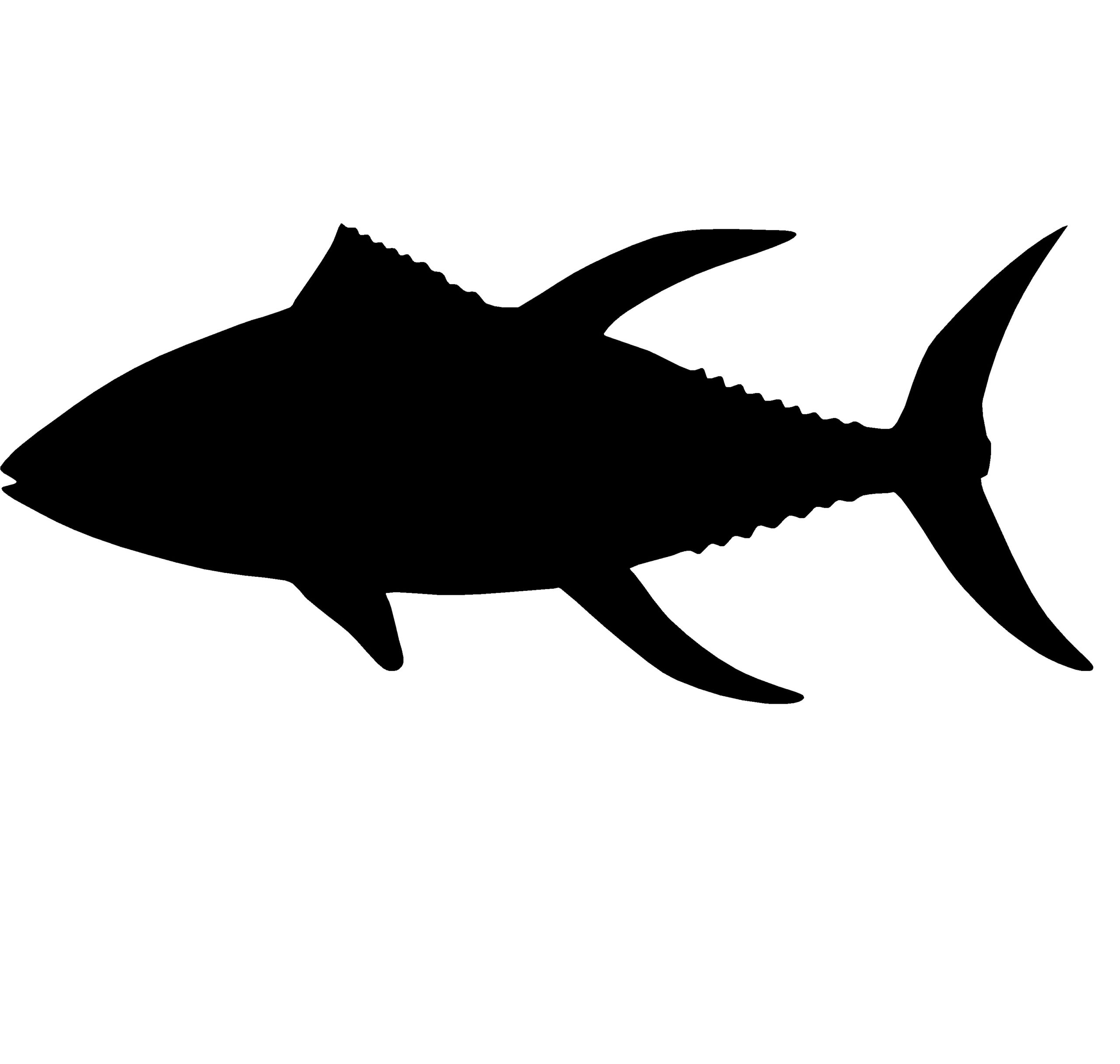Tuna Fishing Decal – Tuna Fishing Window Sticker – 2203