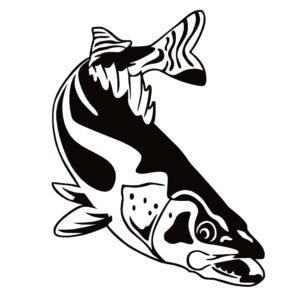 Fishing, USA Flag, Fishing Decal – Fishing Sticker – 7419