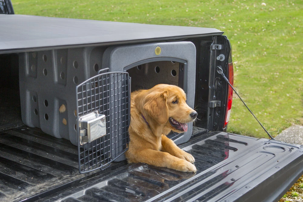 Dog Kennel That Fits Under Tonneau Cover