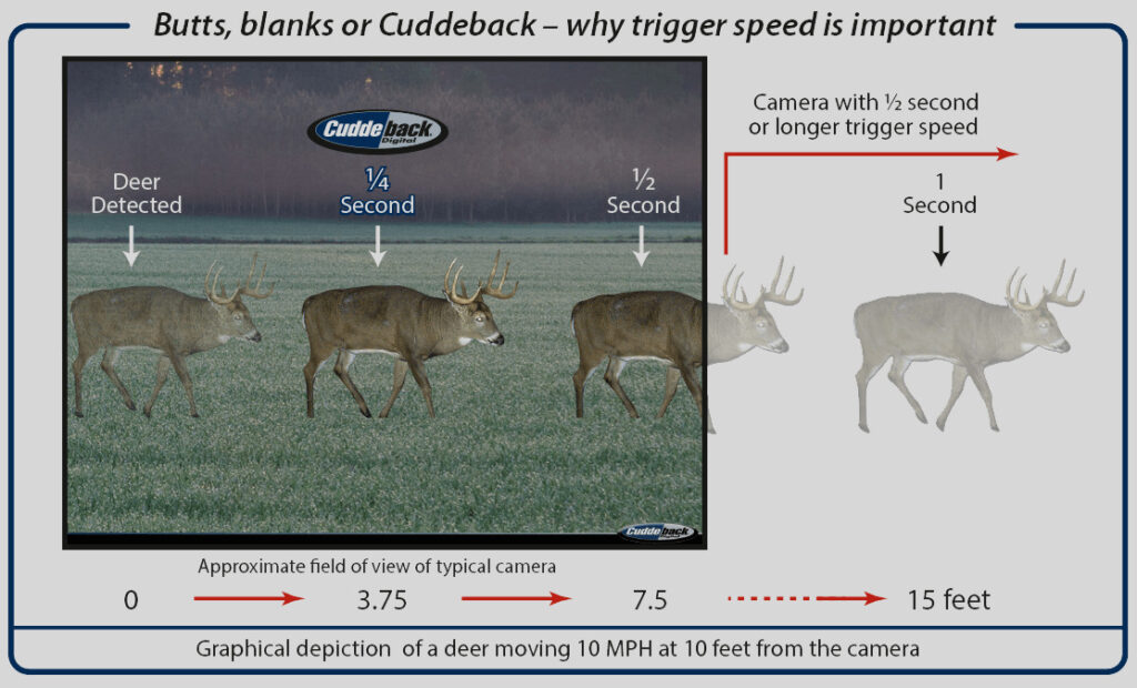 CuddeBack CuddeLink System: Easy to Set-up But Here are some mistakes not to make Mistakes