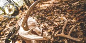 Comprehensive Report on Kicks Buck Kicker Choke Tubes for Deer Hunting and Using Buckshot for Deer Hunting