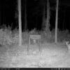 WiseEye Data Cam 2 No Glow Trail Camera