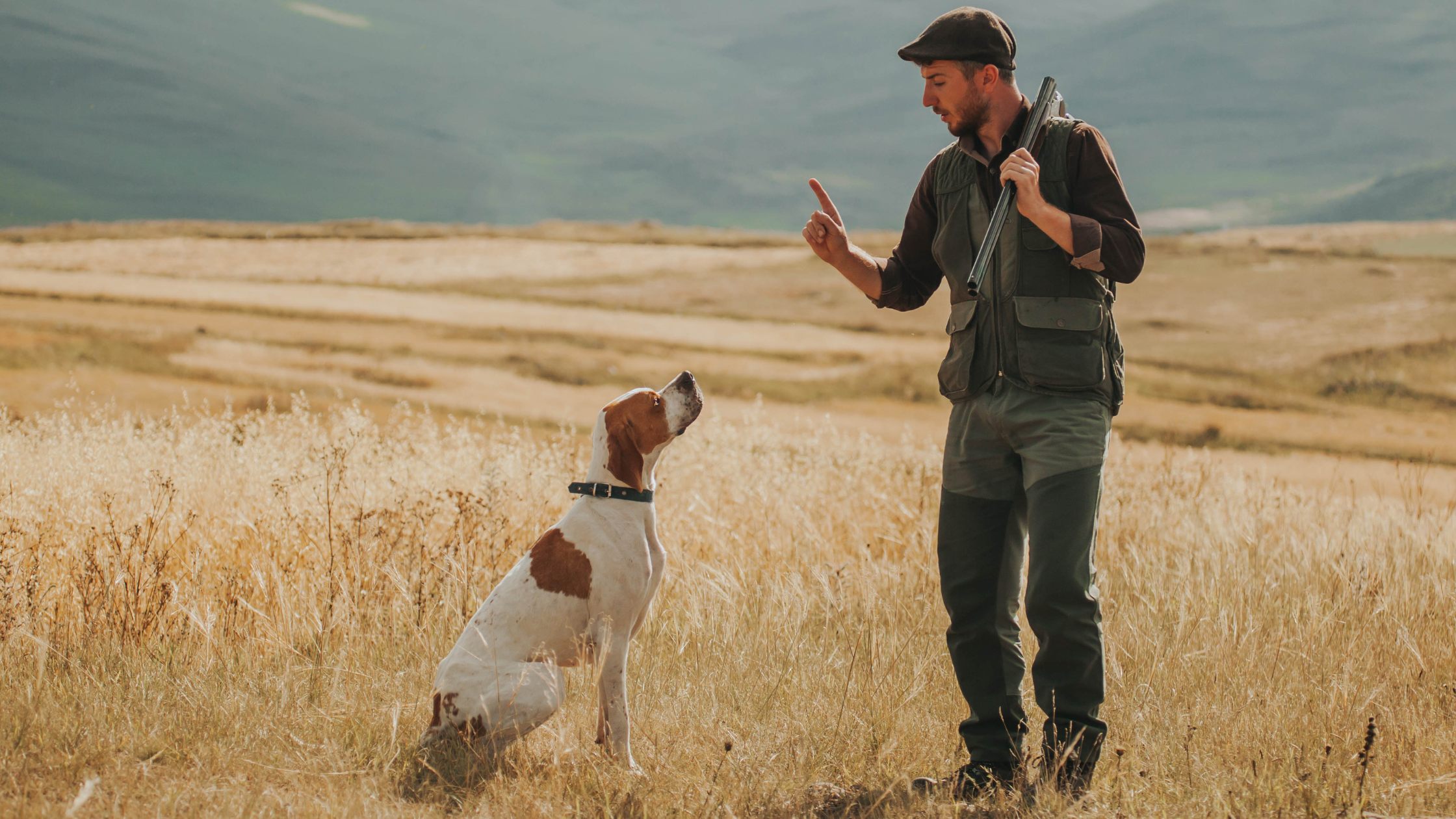 The Ultimate Guide to Positive Reinforcement in Dog Training