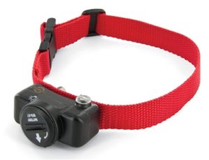 PetSafe Ultralight Extra Collar - Deluxe
