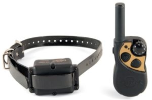 PetSafe Yard and Park Remote Trainer