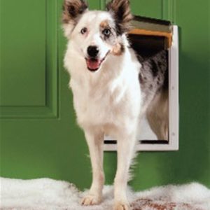 PetSafe Extreme Weather Pet Door - Medium