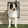 PetSafe Wall Entry Pet Door - Medium