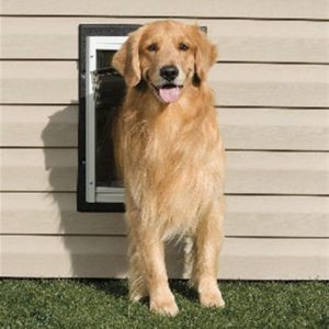 PetSafe Wall Entry Pet Door - Large