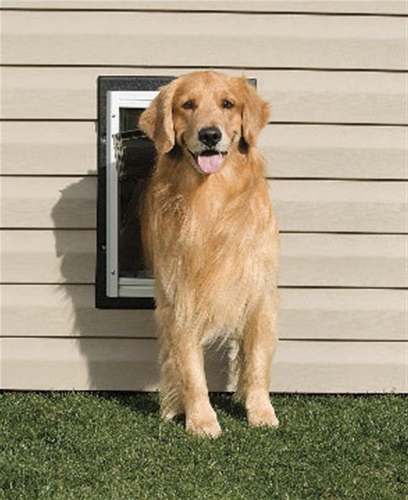 PetSafe Wall Entry Pet Door - Large