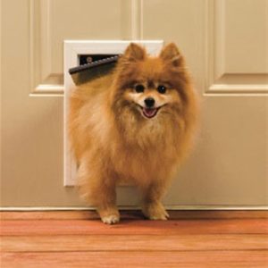 PetSafe Freedom Aluminum Pet Door - Small