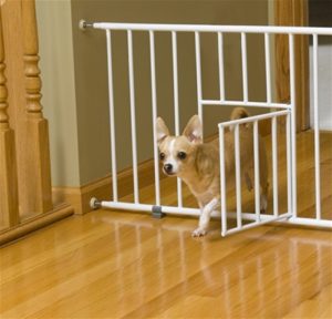 Carlson Mini Gate with Pet Door