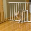 Carlson Mini Gate with Pet Door
