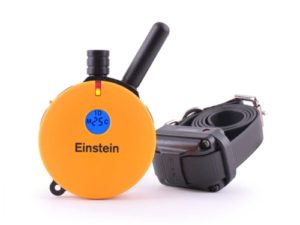 ET-400TS Einstein E-Collar 3/4 Mile Remote Dog Trainer
