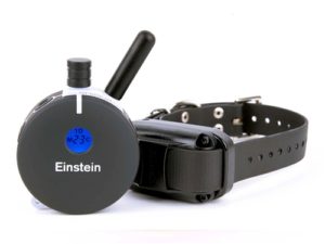 ET-800A Einstein E-Collar