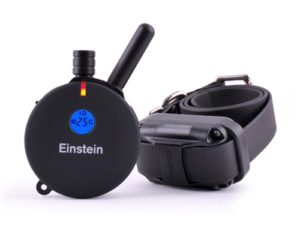 ET-800TS Einstein E-Collar