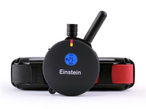 ET-802TS 2 Dog Einstein E-Collar