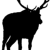 Decal Elk Bull! 1302