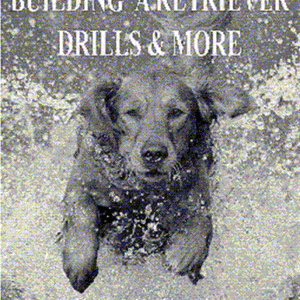 Building a Retriever Drills and More by Carol F Cassity Book